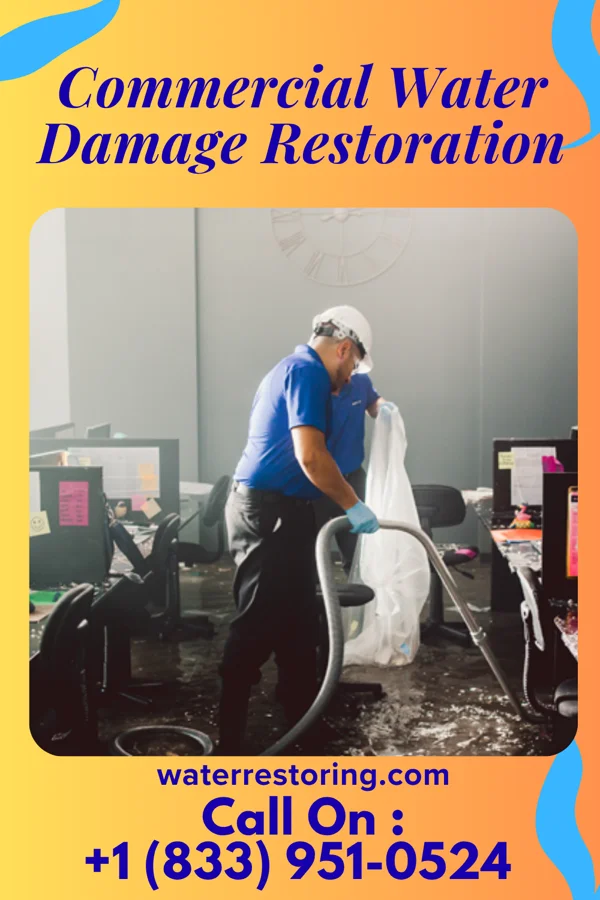 Commercial Water Damage Restoration in Eldorado, TX