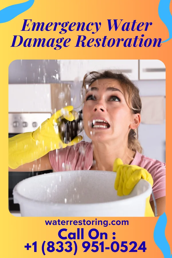 Emergency Water Damage Restoration in Eldorado, TX