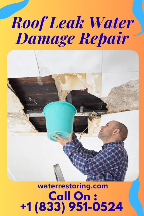 Roof Leak Water Damage Repair in Eldorado, TX